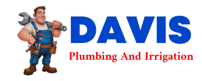 Trusted plumber in SPICER